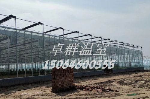 河南省信陽市紋絡玻璃溫室